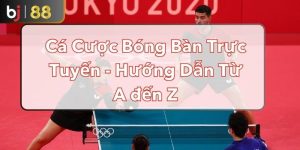 Cá Cược Bóng Bàn Trực Tuyến - Hướng Dẫn Từ A Đến Z