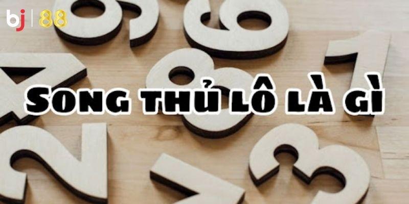 Thông tin về thuật ngữ song thủ lô