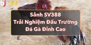 Sảnh SV388 - Trải Nghiệm Đấu Trường Đá Gà Đỉnh Cao