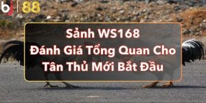 Sảnh WS168 - Đánh Giá Tổng Quan Cho Tân Thủ Mới Bắt Đầu