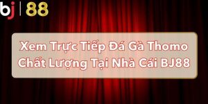 Xem Trực Tiếp Đá Gà Thomo Chất Lượng Tại Nhà Cái BJ88