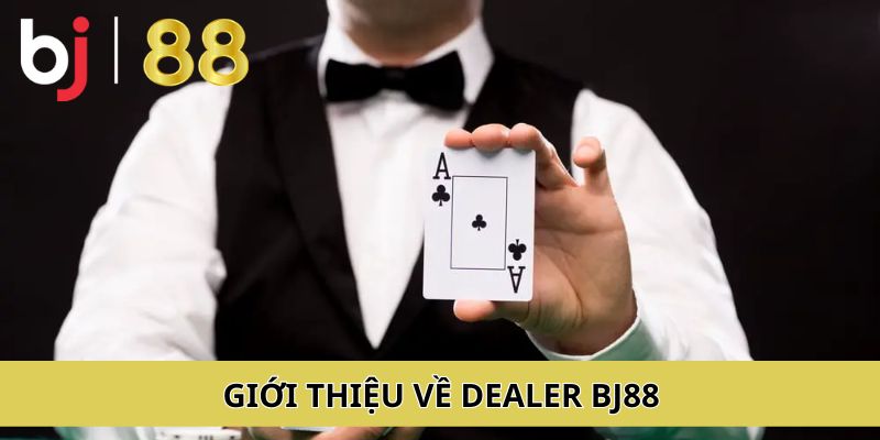 Giới thiệu đôi nét về dealer tại nhà cái BJ88 hàng đầu