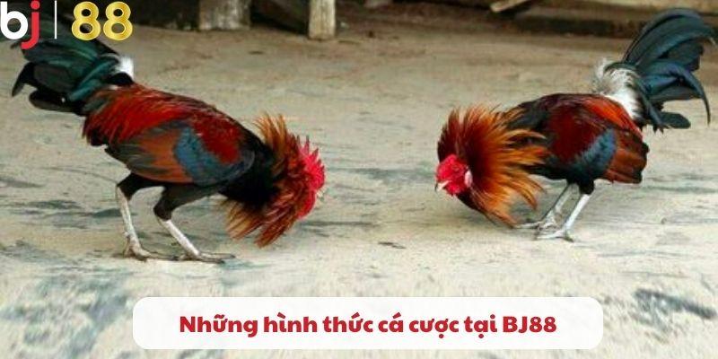  Những hình thức cá cược